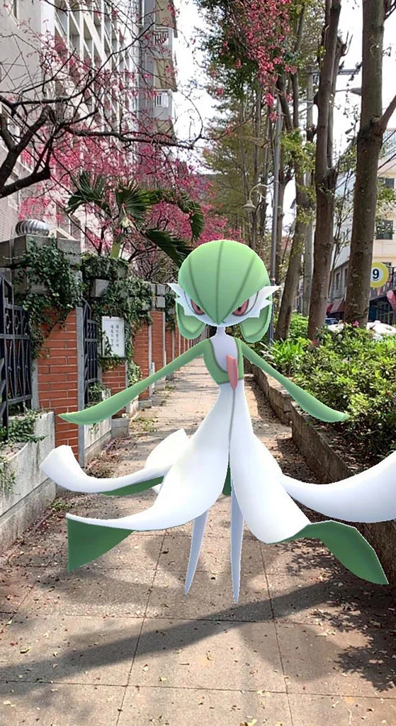 颯爽登場