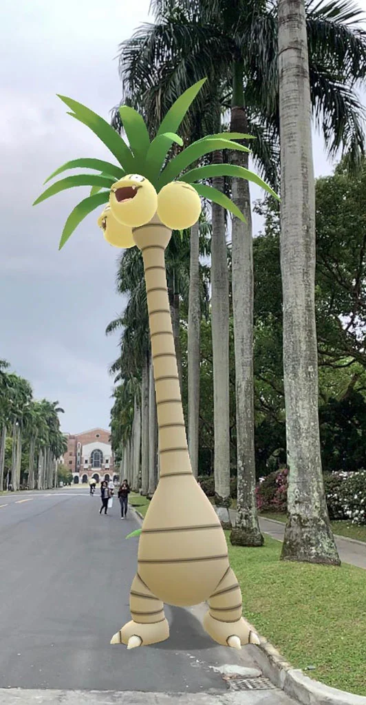好高的樹