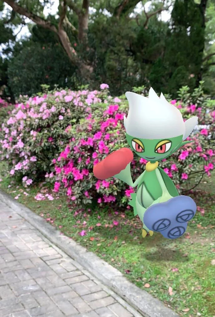 杜鵑花開的時節