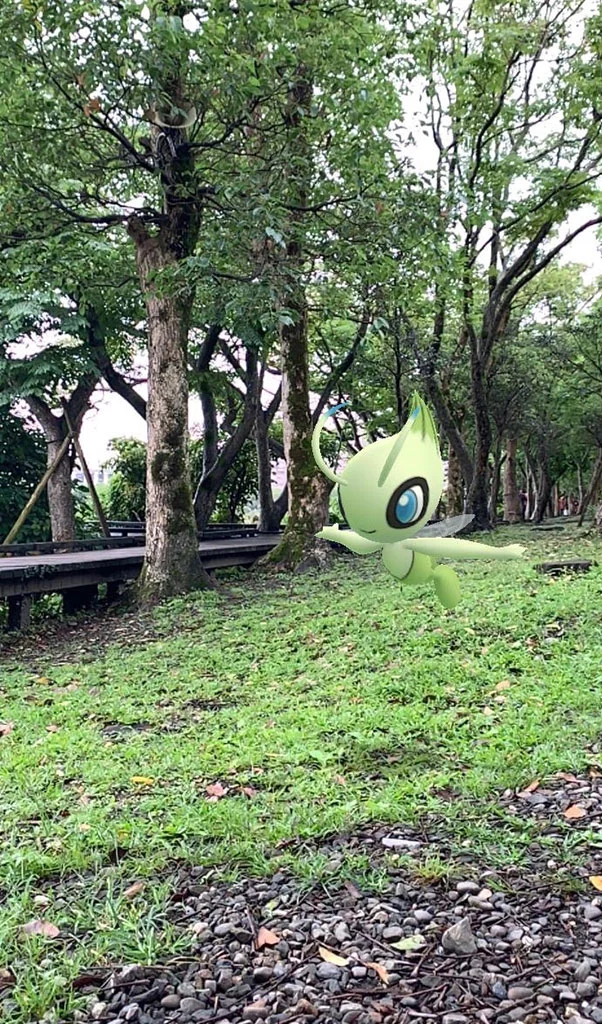 森林中的時拉比