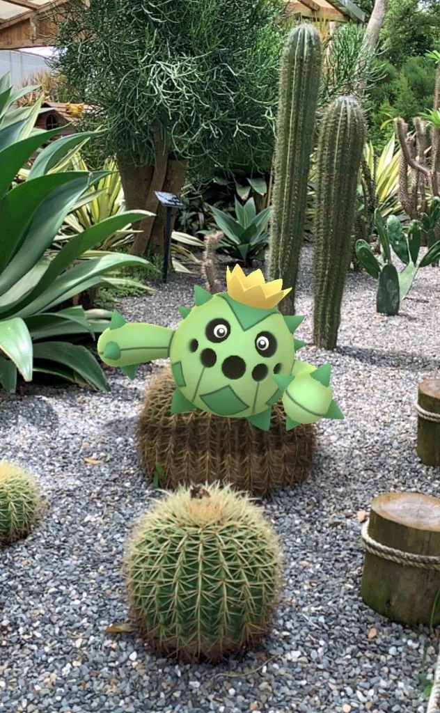 混入仙人掌