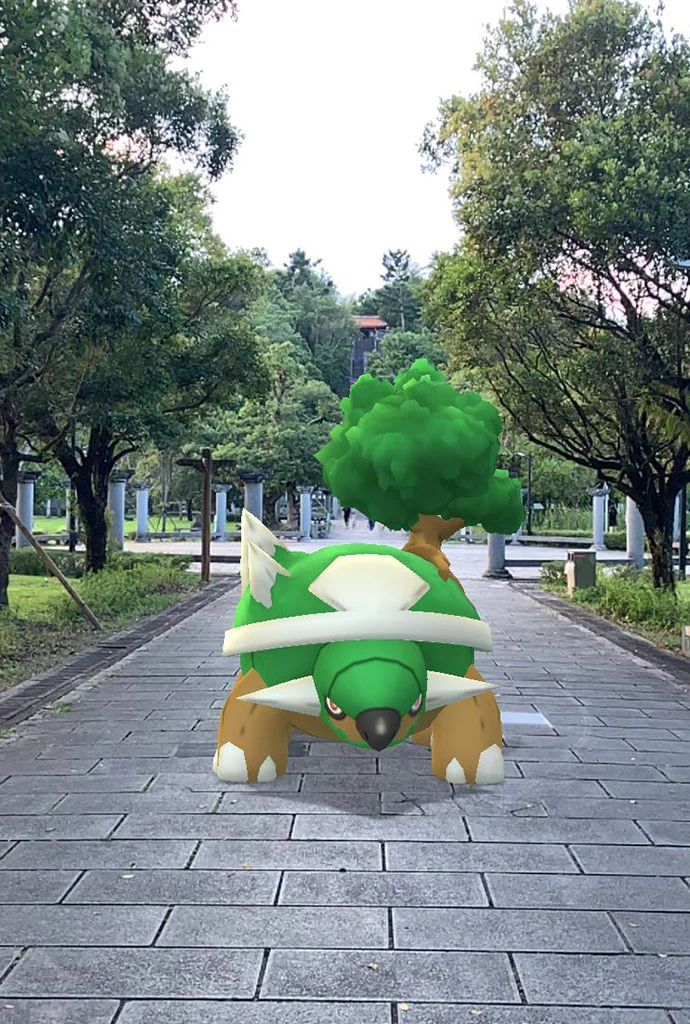 在公園的土台龜
