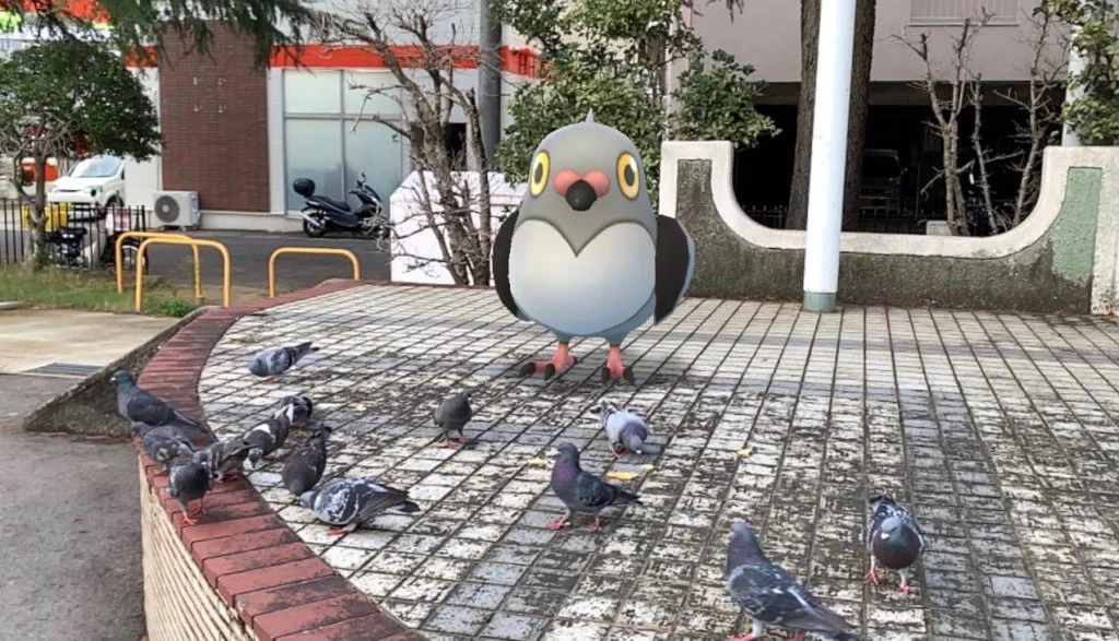 鴿王