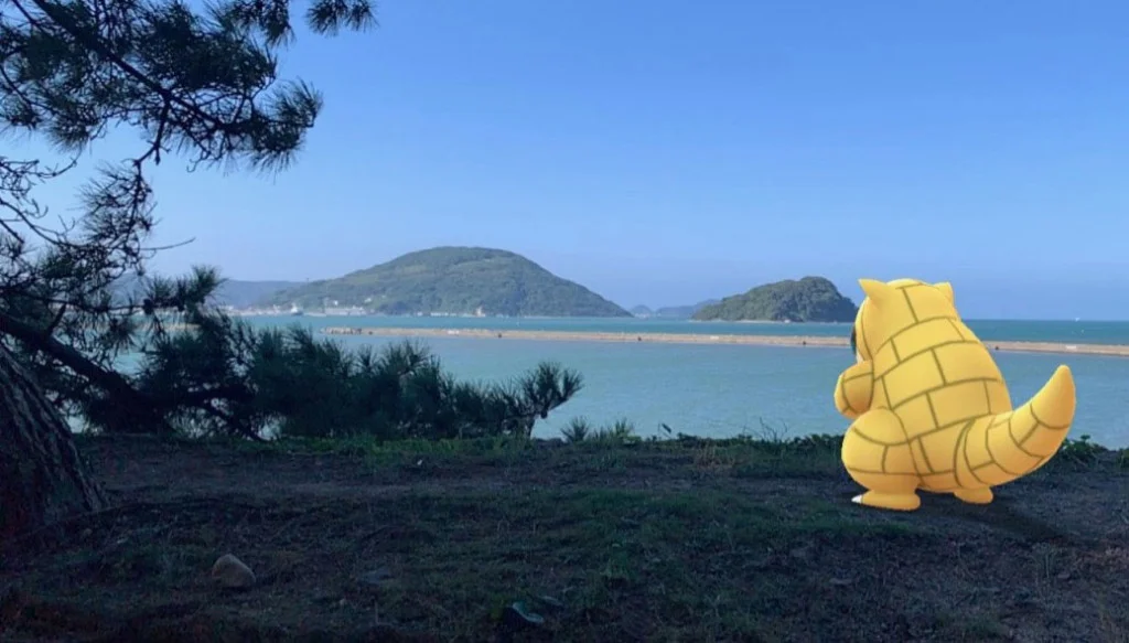 海邊的穿山鼠