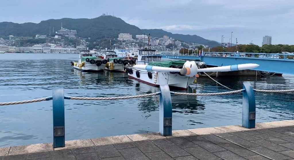 長崎的長翅鷗