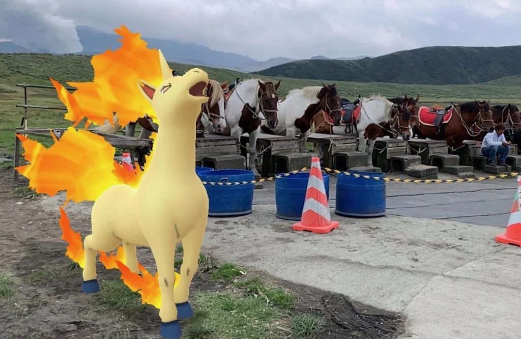 奔跑吧烈焰馬!