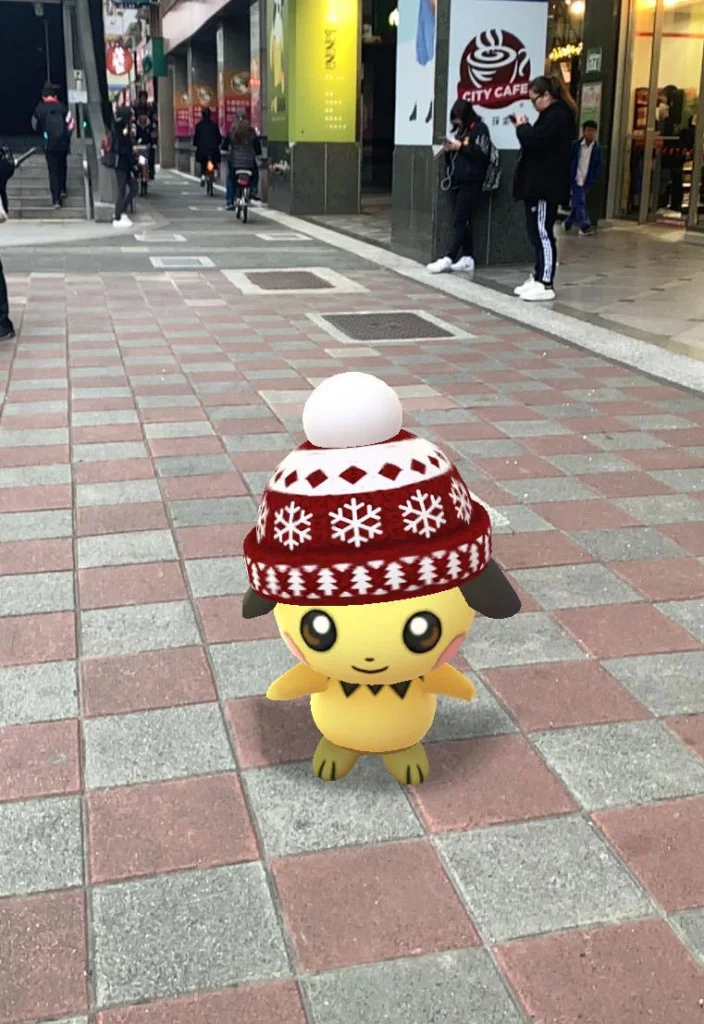 毛帽皮丘
