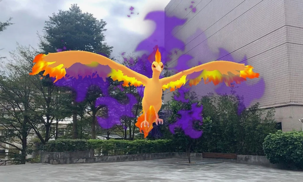 暗影火焰鳥