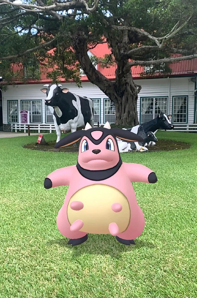 乳牛關