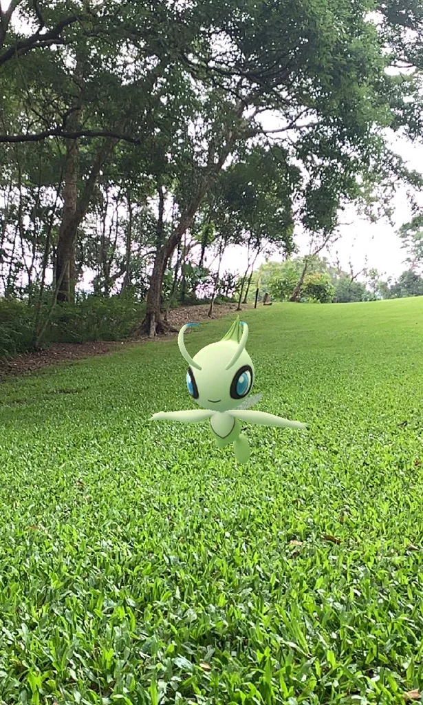 草地的時拉比