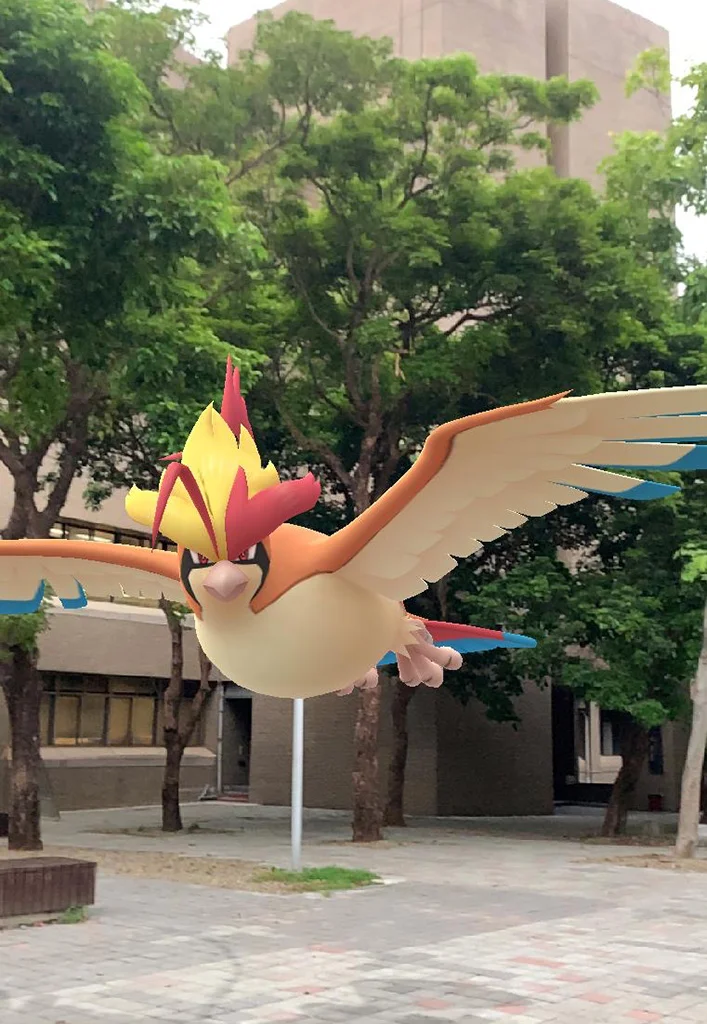 超級大比鳥
