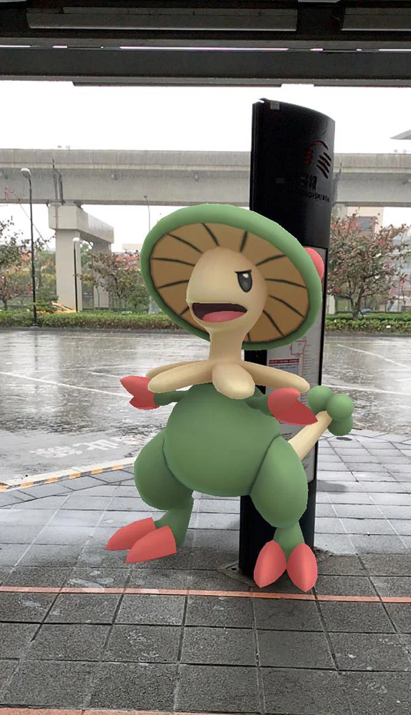 斗笠菇討厭下雨天