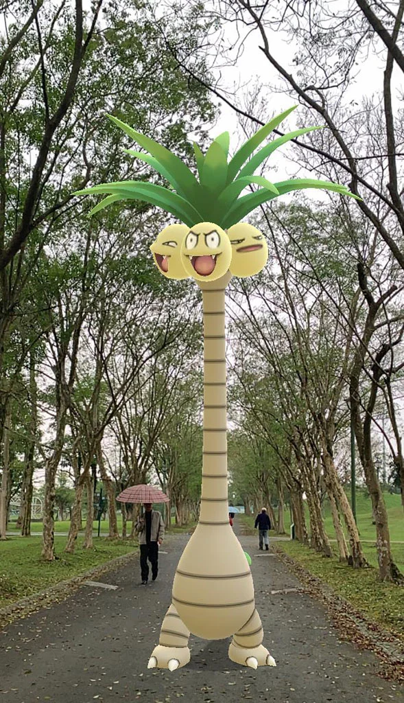 好高