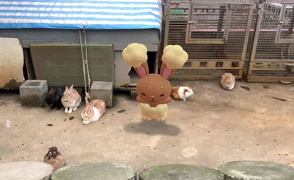 可愛的兔兔