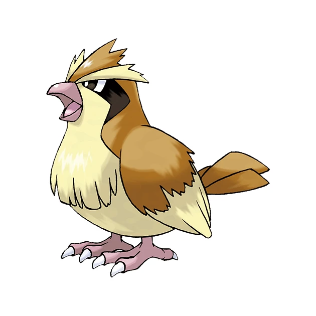 Pidgey