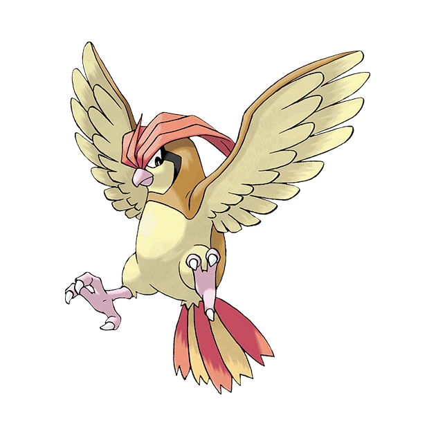 Pidgeotto