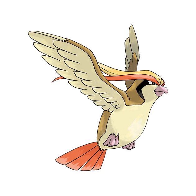 Pidgeot