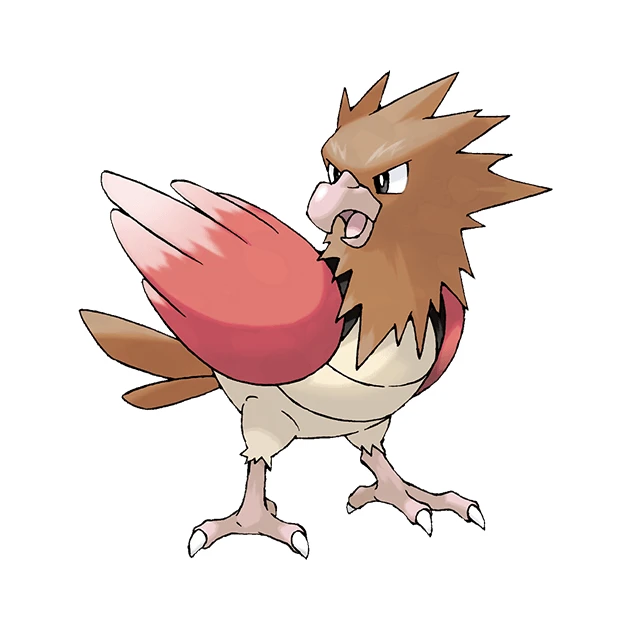 Spearow
