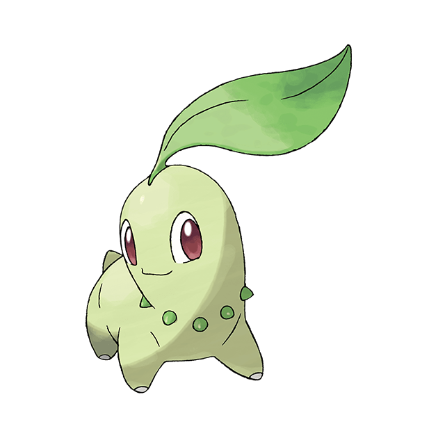Chikorita