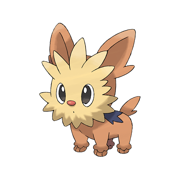 Lillipup