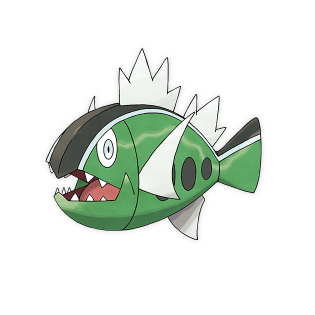 Basculin