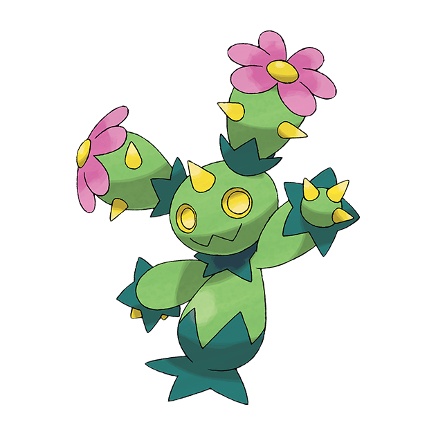 Maractus