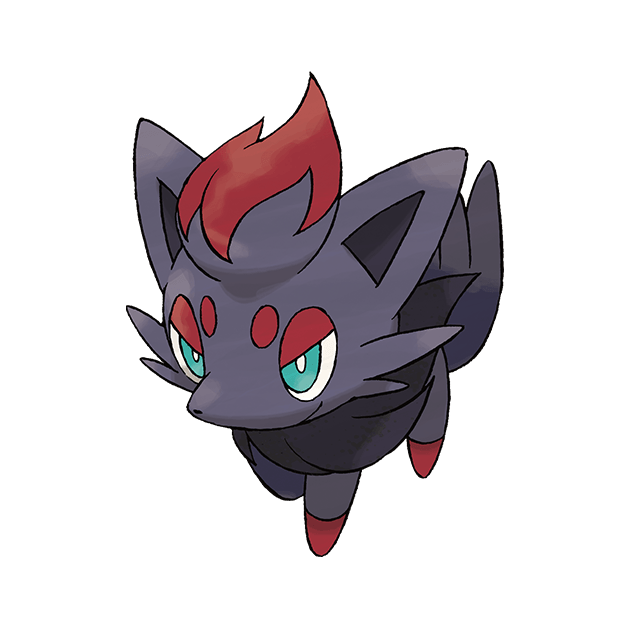 Zorua