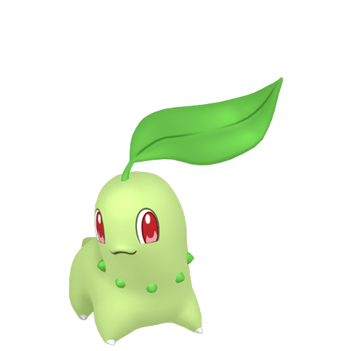 Chikorita