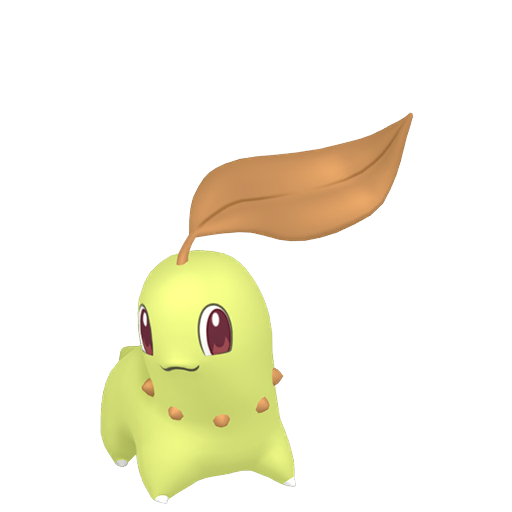 Chikorita Variocolor