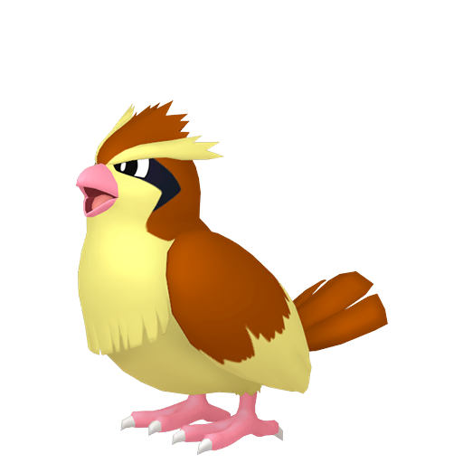 Pidgey