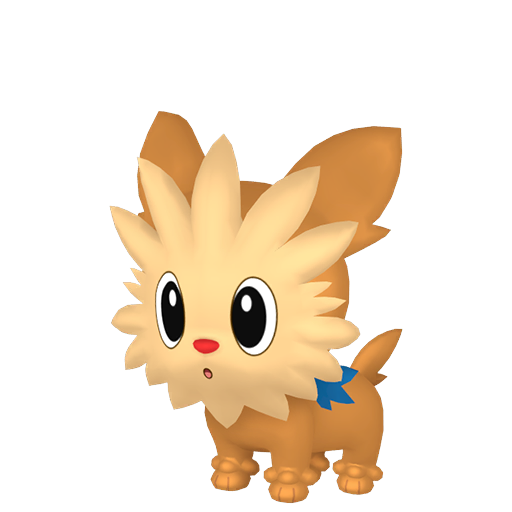 Lillipup