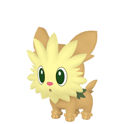 Lillipup Шайни