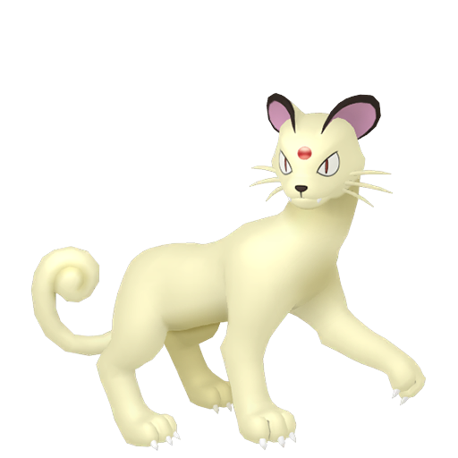 Persian Shiny