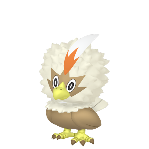 Rufflet Shiny