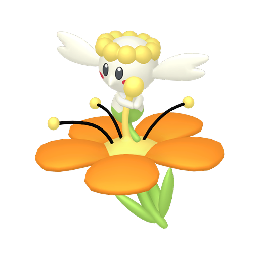 Orange Flower