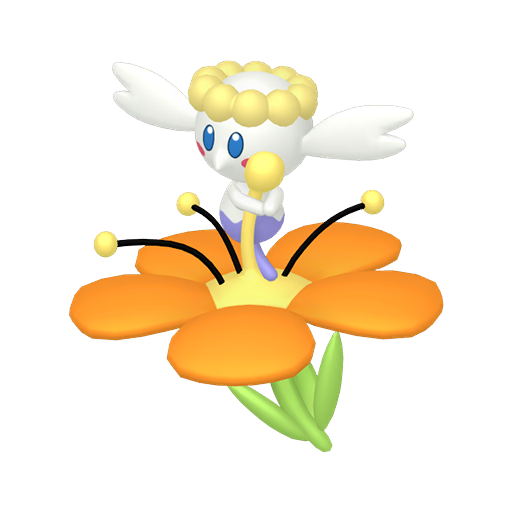 Orange Flower शाइनी