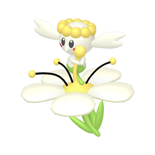 White Flower