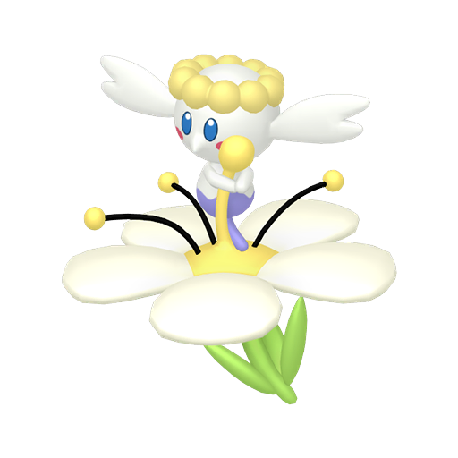 White Flower शाइनी