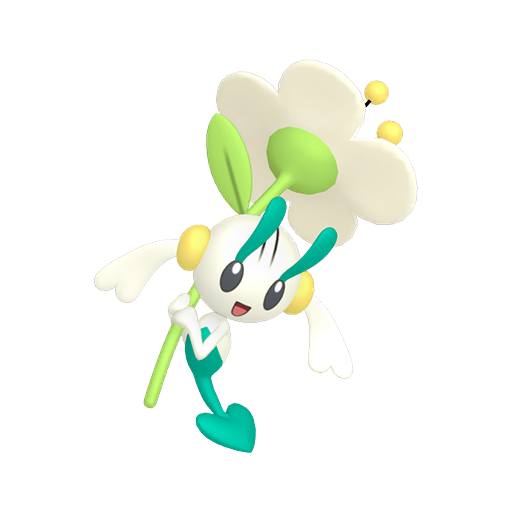 White Flower