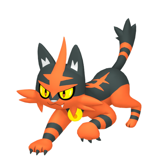 Torracat