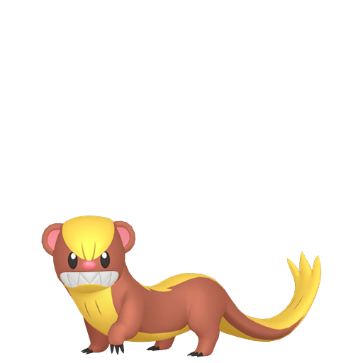 Yungoos