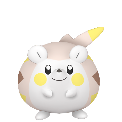 トゲデマル 色違い