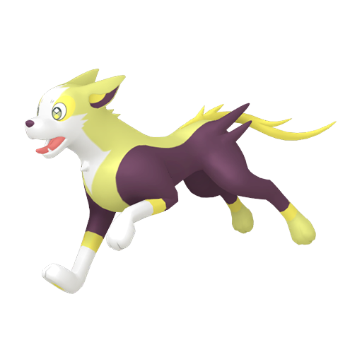 Boltund Shiny