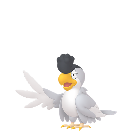 White Plumage