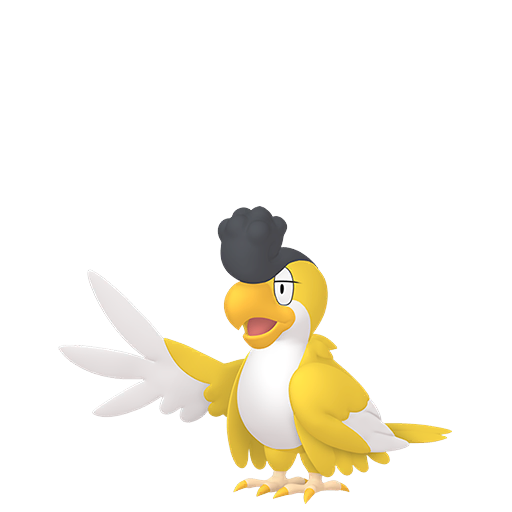 Yellow Plumage